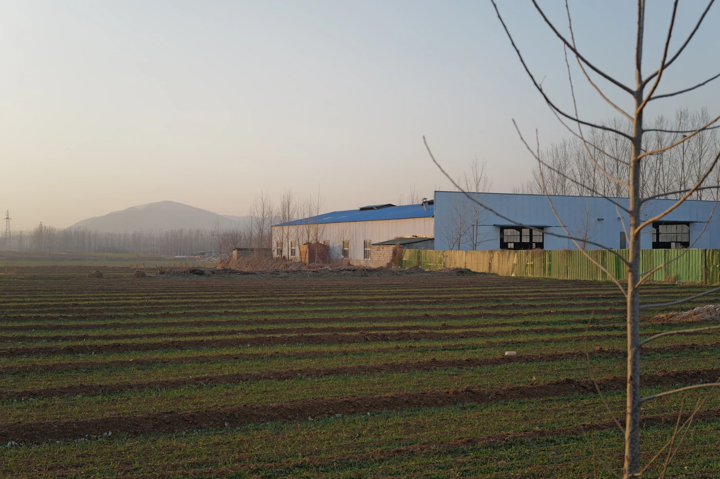山东 / Shandong photograph 021