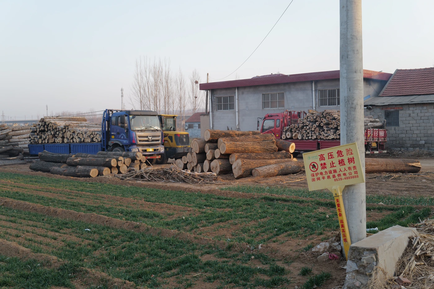 山东 / Shandong photograph 023
