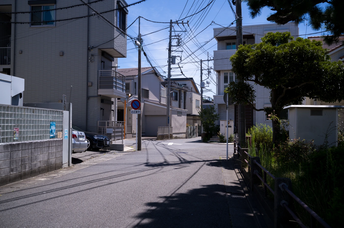 神奈川 / Kanagawa photograph 100