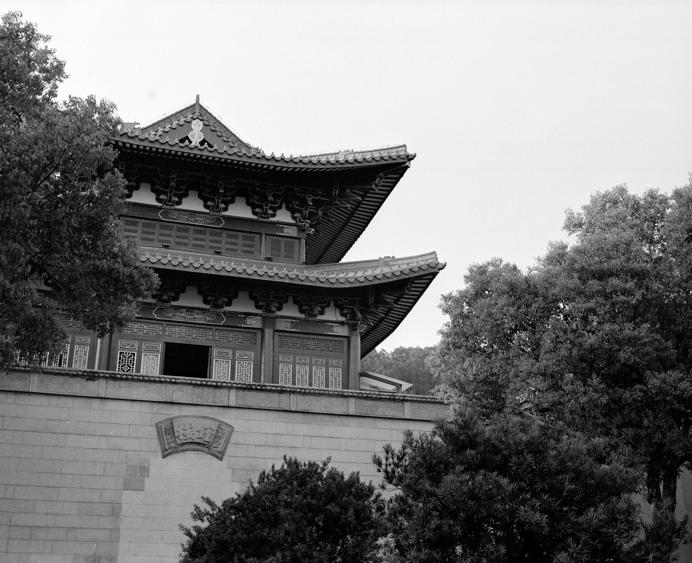 单张照片 P / 119