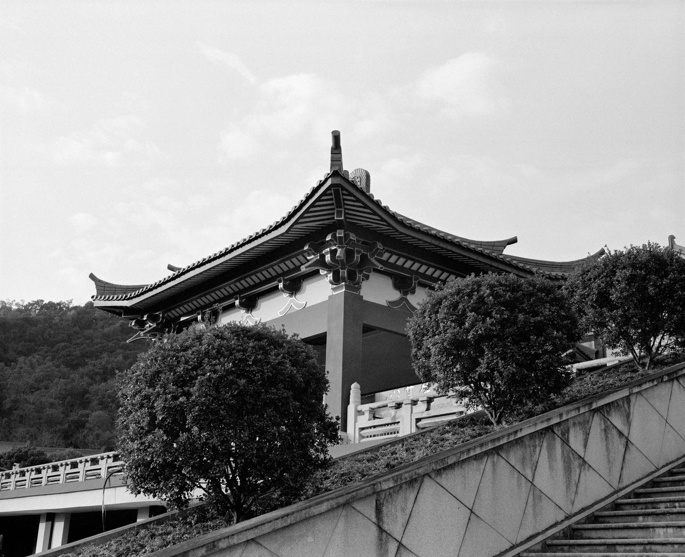 单张照片 P / 121