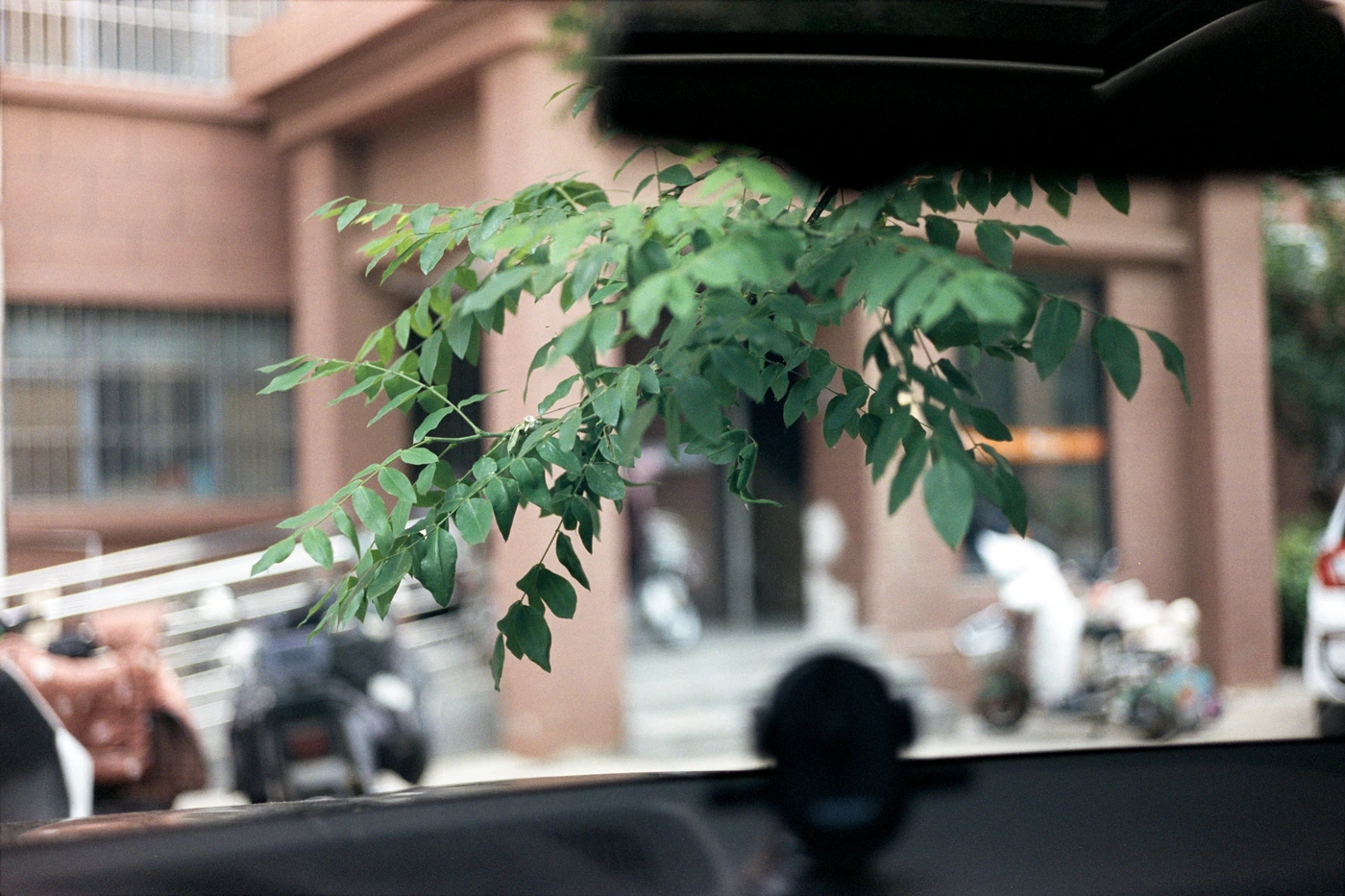 山东 II / Shandong II photograph 009